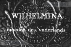 Wilhelmina