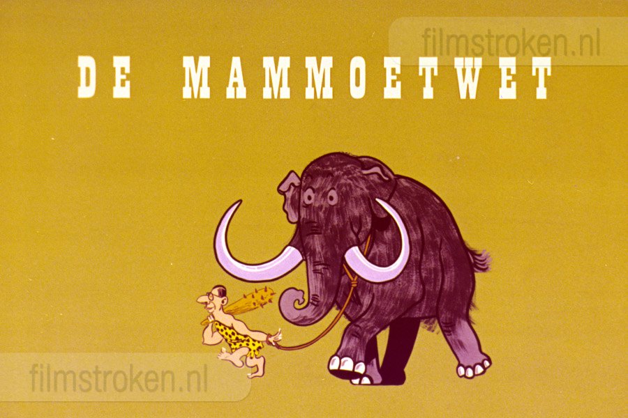 De Mammoetwet De Mammoetwet