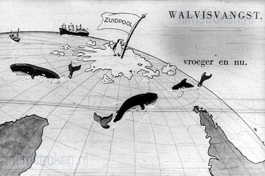 Walvisvangst Walvisvangst