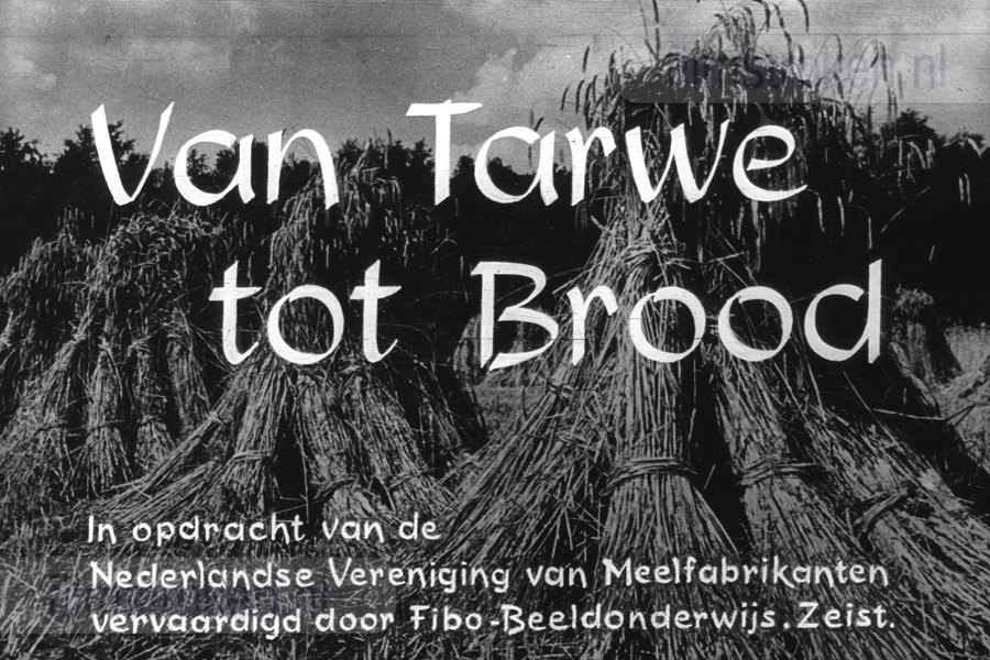 Van Tarwe tot Brood Van Tarwe tot Brood