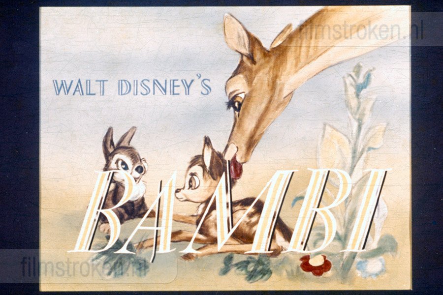 Bambi Bambi