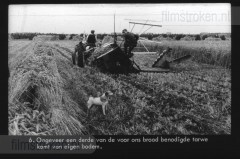 Van Tarwe tot Brood Van Tarwe tot Brood