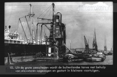 Van Tarwe tot Brood Van Tarwe tot Brood