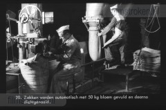 Van Tarwe tot Brood Van Tarwe tot Brood