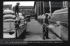 Van Tarwe tot Brood Van Tarwe tot Brood