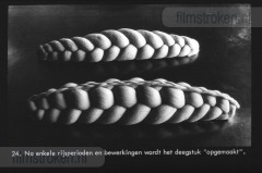 Van Tarwe tot Brood Van Tarwe tot Brood