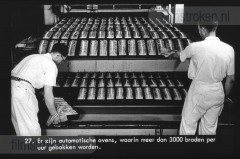 Van Tarwe tot Brood Van Tarwe tot Brood