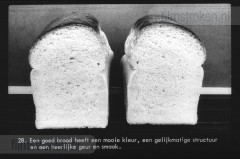 Van Tarwe tot Brood Van Tarwe tot Brood