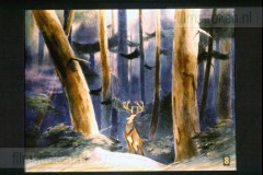 Bambi Bambi
