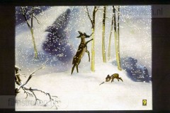 Bambi Bambi