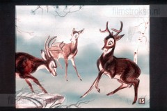 Bambi Bambi