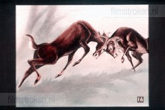 Bambi Bambi