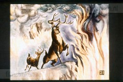 Bambi Bambi