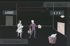 De Mammoetwet De Mammoetwet