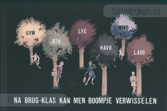 De Mammoetwet De Mammoetwet