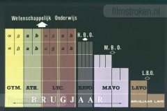 De Mammoetwet De Mammoetwet