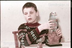 Gelijke Kansen Gelijke Kansen