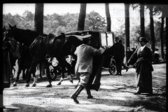 Wilhelmina Wilhelmina