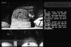 Bijenleven Bijenleven