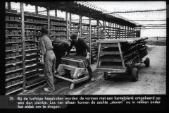De Grote Rivieren De Grote Rivieren