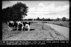 Drente I Drente I