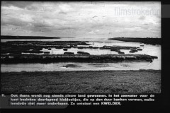 Friesland I Friesland I