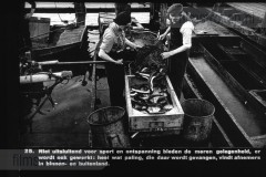Friesland I Friesland I