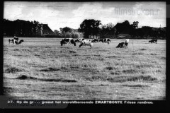 Friesland I Friesland I