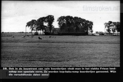 Friesland II Friesland II