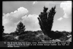 Gelderland I Gelderland I