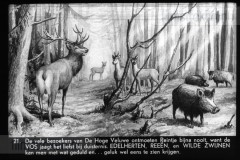 Gelderland I Gelderland I
