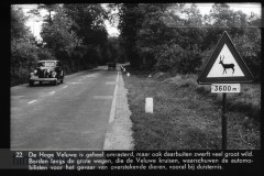 Gelderland I Gelderland I