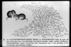 Gelderland I Gelderland I