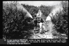 Gelderland II Gelderland II