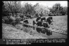 Gelderland II Gelderland II