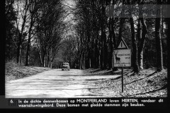 Gelderland III Gelderland III