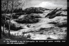Gelderland III Gelderland III