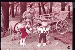 Hoe Pluk en Plok aan hun Naam kwamen