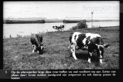 Noord-Brabant I Noord-Brabant I