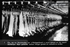 Noord-Brabant I Noord-Brabant I