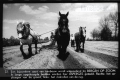 Noord-Brabant II Noord-Brabant II