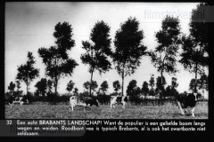 Noord-Brabant II Noord-Brabant II