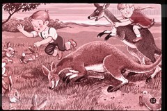 Pluk en Plok bij de Kangoeroes