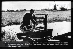 Utrecht II Utrecht II