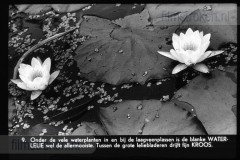 Utrecht II Utrecht II