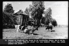 Utrecht II Utrecht II