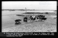 Utrecht II Utrecht II