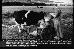 Zeeland I Zeeland I