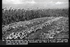 Zeeland I Zeeland I
