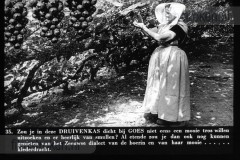 Zeeland I Zeeland I